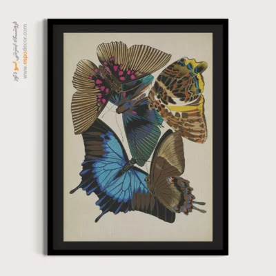 تابلو پروانه - اسپو دکور