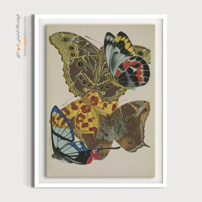 تابلو پروانه - اسپو دکور