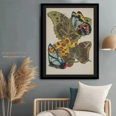 تابلو پروانه - اسپو دکور