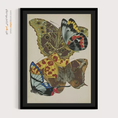 تابلو پروانه - اسپو دکور