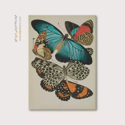 تابلو پروانه - اسپو دکور