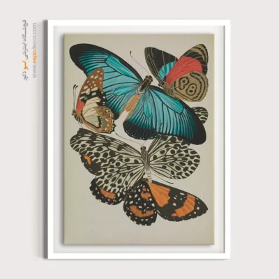 تابلو پروانه - اسپو دکور