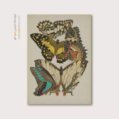 تابلو پروانه - اسپو دکور