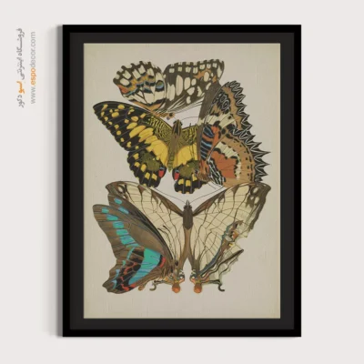 تابلو پروانه - اسپو دکور