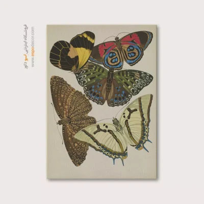تابلو پروانه - اسپو دکور