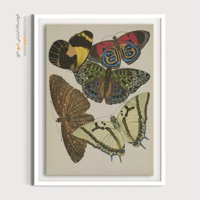 تابلو پروانه - اسپو دکور