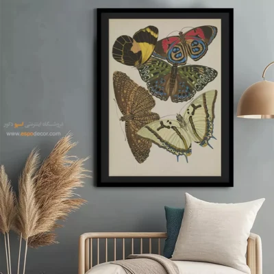 تابلو پروانه - اسپو دکور