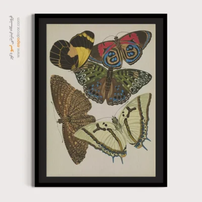 تابلو پروانه - اسپو دکور