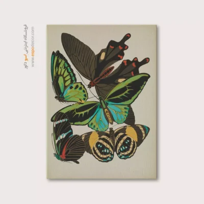 تابلو پروانه - اسپو دکور