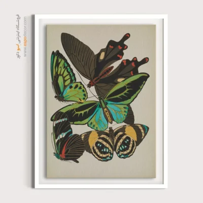 تابلو پروانه - اسپو دکور