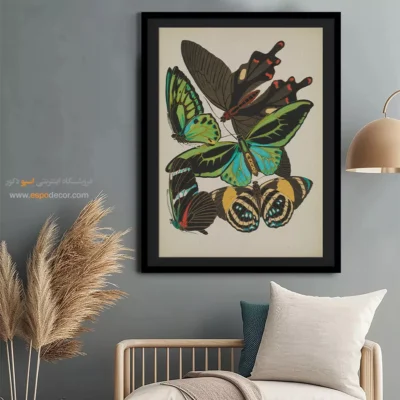 تابلو پروانه - اسپو دکور