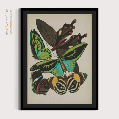 تابلو پروانه - اسپو دکور