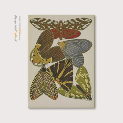 تابلو پروانه - اسپو دکور