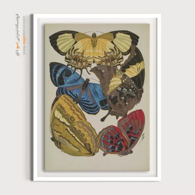 تابلو پروانه - اسپو دکور