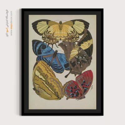 تابلو پروانه - اسپو دکور