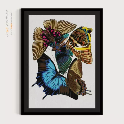 تابلو پروانه - اسپو دکور