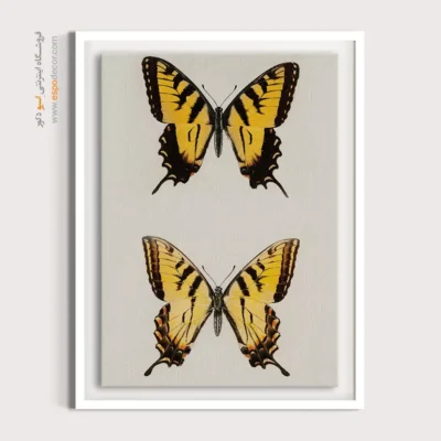 تابلو پروانه - اسپو دکور