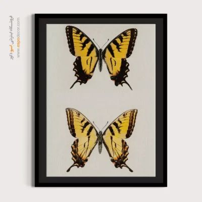 تابلو پروانه - اسپو دکور