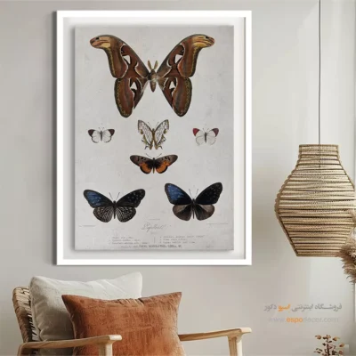 تابلو پروانه - اسپو دکور