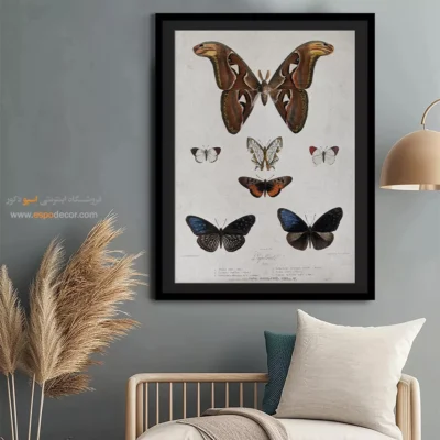 تابلو پروانه - اسپو دکور