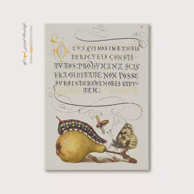 تابلو پروانه - اسپو دکور