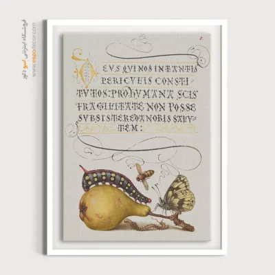 تابلو پروانه - اسپو دکور