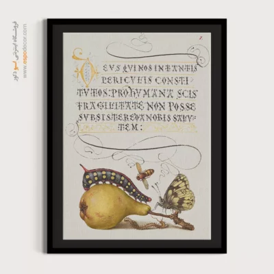 تابلو پروانه - اسپو دکور