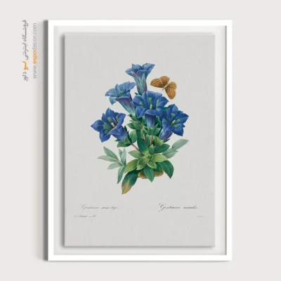 تابلو پروانه - اسپو دکور