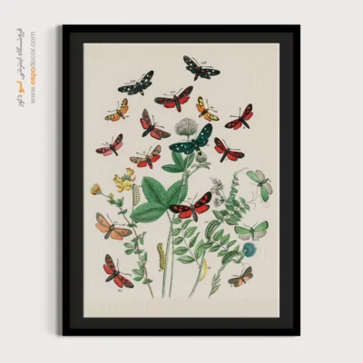 تابلو پروانه - اسپو دکور