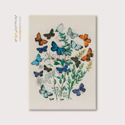 تابلو پروانه - اسپو دکور