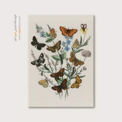 تابلو پروانه - اسپو دکور