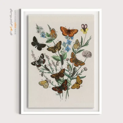 تابلو پروانه - اسپو دکور