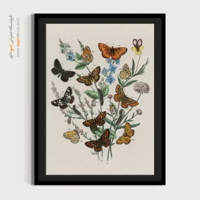 تابلو پروانه - اسپو دکور