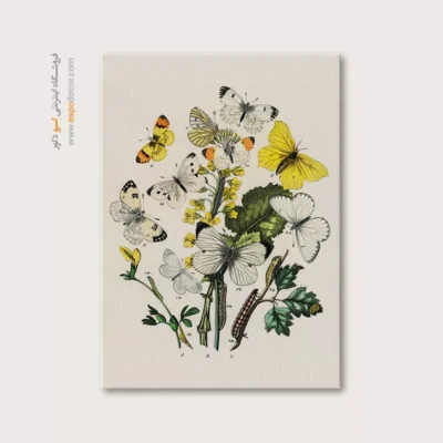 تابلو پروانه - اسپو دکور