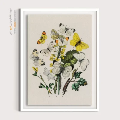 تابلو پروانه - اسپو دکور