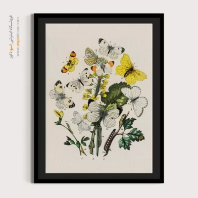 تابلو پروانه - اسپو دکور