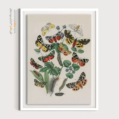 تابلو پروانه - اسپو دکور