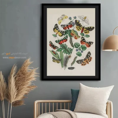 تابلو پروانه - اسپو دکور