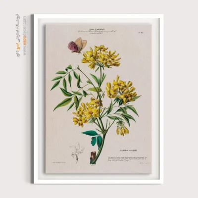 تابلو پروانه - اسپو دکور