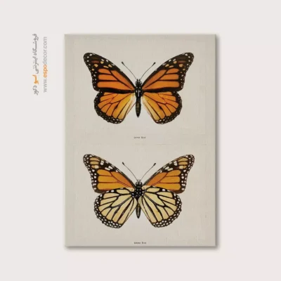 تابلو پروانه - اسپو دکور