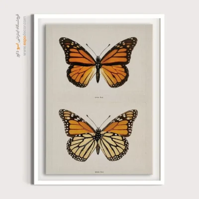 تابلو پروانه - اسپو دکور