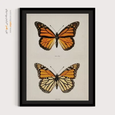 تابلو پروانه - اسپو دکور