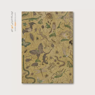 تابلو پروانه - اسپو دکور