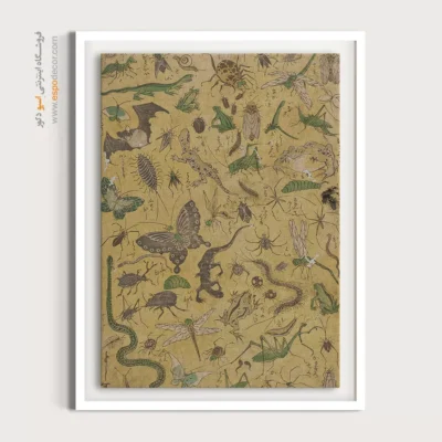 تابلو پروانه - اسپو دکور