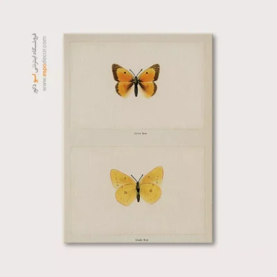 تابلو پروانه - اسپو دکور