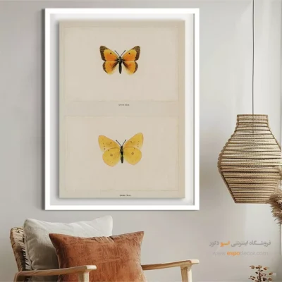 تابلو پروانه - اسپو دکور