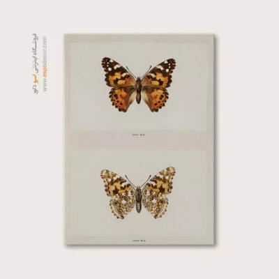 تابلو پروانه - اسپو دکور