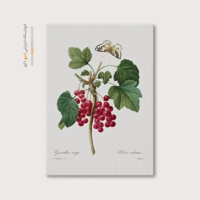 تابلو پروانه - اسپو دکور