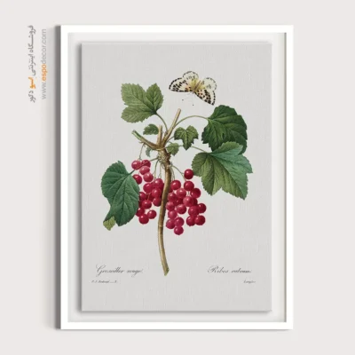 تابلو پروانه - اسپو دکور