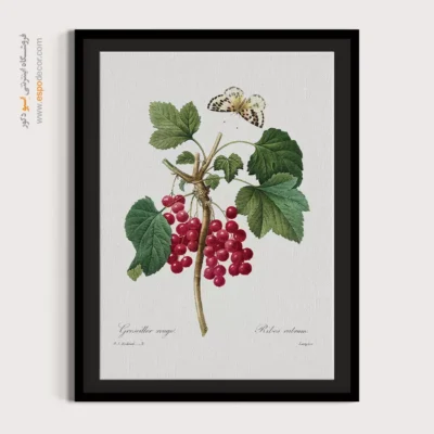 تابلو پروانه - اسپو دکور